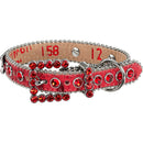 Supreme®/B.B. Simon® Studded Dog Collar Red