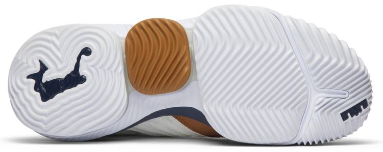Nike LeBron 16 Air Trainer Medicine Ball